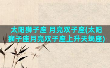 太阳狮子座 月亮双子座(太阳狮子座月亮双子座上升天蝎座)